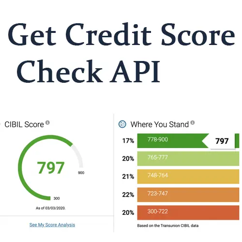 Get Credit Score Check API Service