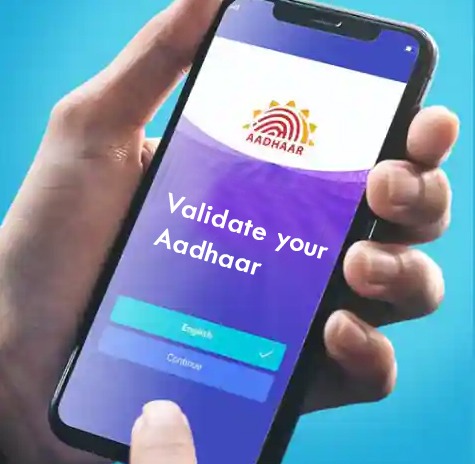 Aadhaar Demographic Verification API Provider