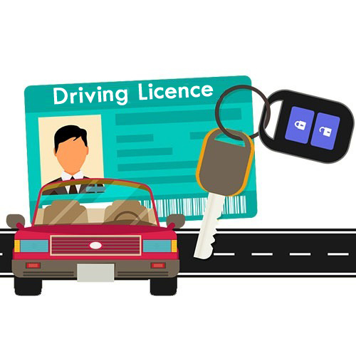 Driving License Verification API Provider